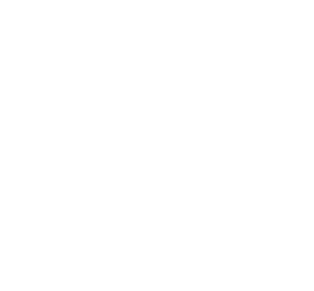 Empanaditas
